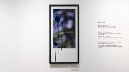 The Hesitation of the Image