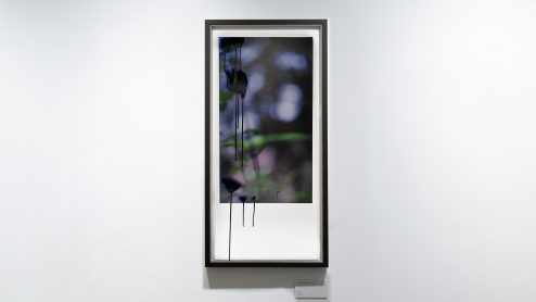 The Hesitation of the Image