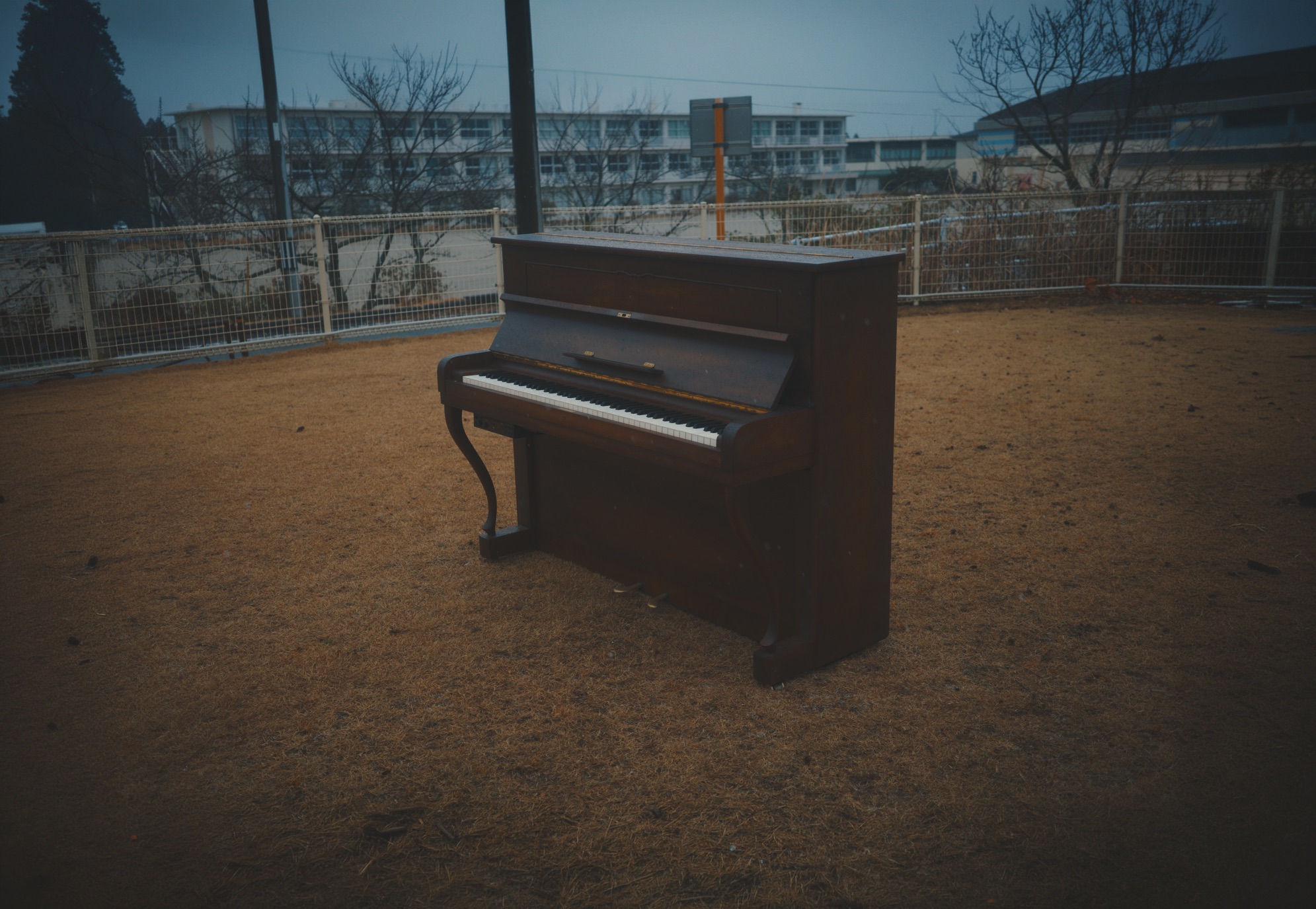 Piano to Nature – a long experiment – 2